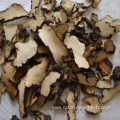 Top Quality Herb Medicine Polyporus